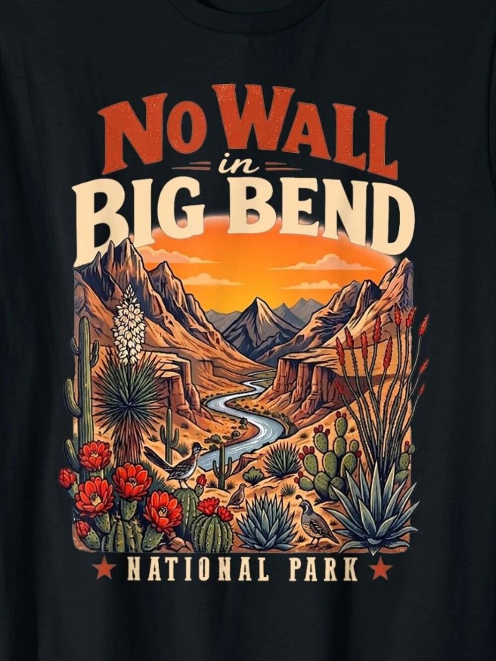 No Wall in Big Bend National Park T-Shirt - Picture 2 of 5
